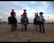 France Espana Reining Challenge 2015