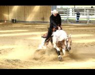 SAILIN STARLIGHTS et John