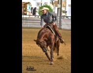 A SPARK IN MY STEP et  John