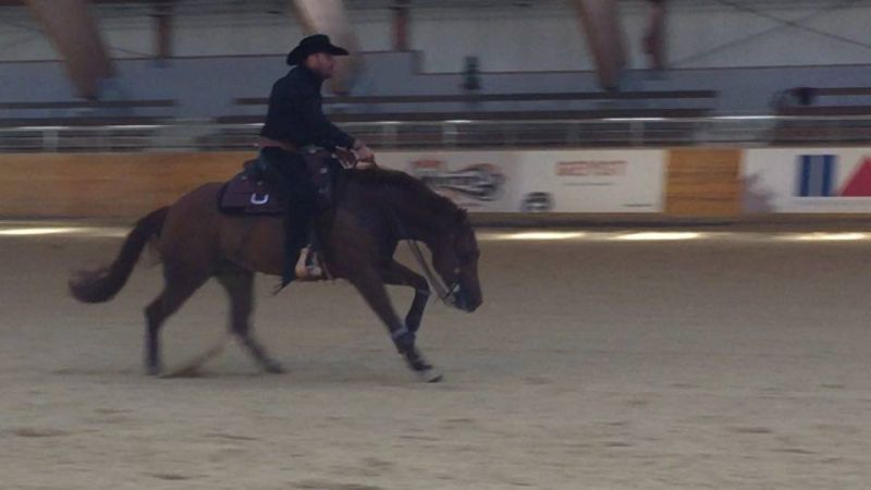 Markel French derby 2016