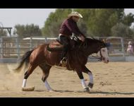 GUNNER SUPERSTAR et John
