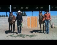 2012  Galops Western (Showmanship)