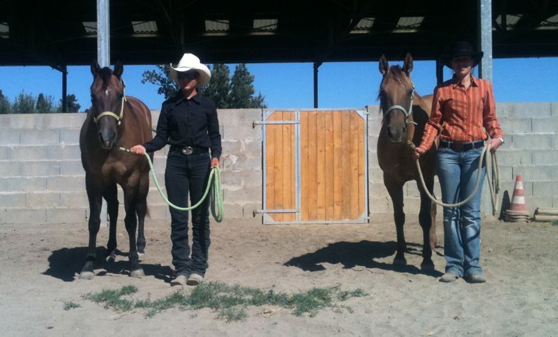 2012  Galops Western (Showmanship)