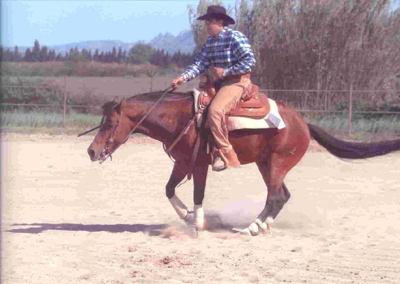 SLIDING QUIXOTE et John