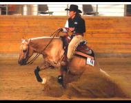 stop tequila rookie pro