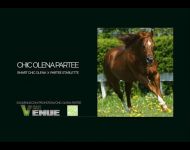 CHIC OLENA PARTEE