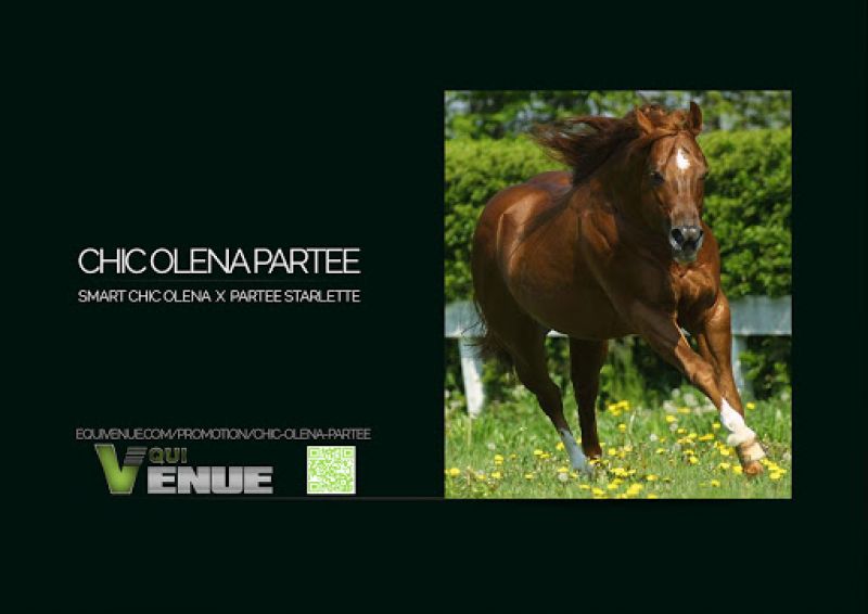 CHIC OLENA PARTEE