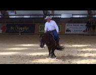 MB DIAMOND SANBADGER et JÃ©rÃ´me Farrenc