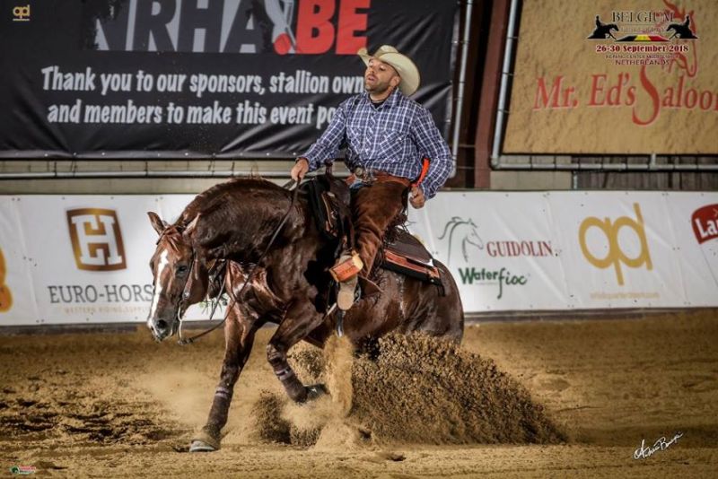 2018 Belgium Futurity Show