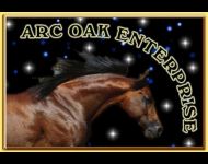 ARC OAK ENTERPRISE