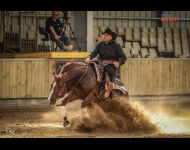 A SPARK IN MY STEP et John